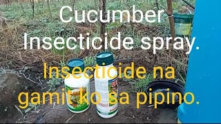 Mga insecticide na mabisang gamitin sa pipino [upl. by Akkim]