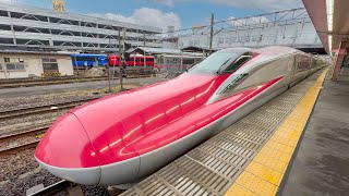 Riding the Japans Bullet Train l KOMACHI Green Car 🚄 ☘️ [upl. by Zuckerman]