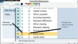 SAP Posting keys Explained in Detail [upl. by Kilah]