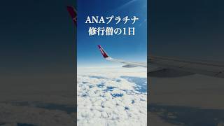 ANAプラチナ修行僧の1日part5 日本最長路線 shorts 飛行機 sfc airplane mileage ana [upl. by Klaus]