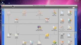 Product Walkthrough of QuickBooks Pro 2010 [upl. by Imnubulo]