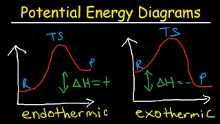 Potential Energy Diagrams  Chemistry  Catalyst Endothermic amp Exothermic Reactions [upl. by Aniat381]