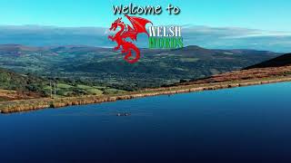 Welsh Words  Home of the Welsh Language [upl. by Eberto]