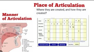 place of articulationmanner of articulationdifferce between place and manner of articulation [upl. by Nnylcaj]