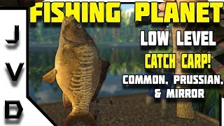 Fishing Planet TIPS  Low Level Guide  Catch CARP  Lesni Vila FIshery  Czech Republic [upl. by Barcroft282]