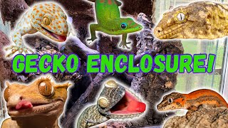 How to set up a gecko enclosure [upl. by Leland]