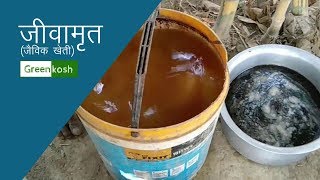 जीवामृत बनाने के सबसे आसान तरीका  How to make Jeev Amrit Jeevamrit for Organic Farming [upl. by Anneis]