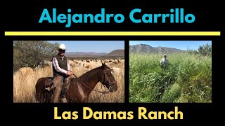 Alejandro Carrillo  Grazing Animals Bring Lush Biological Diversity to the Chihuahua Desert [upl. by Madelyn]