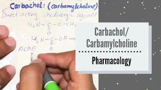 CARBACHOLCARBAMYLCHOLINE  Direct Acting Cholinergic Agonist  Pharmacology [upl. by Boles]