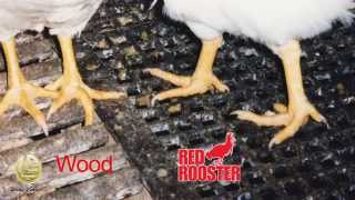 2 x 4 Poultry Plastic Flooring that Optimizes Bird Performance [upl. by Yssenhguahs]