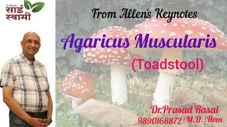 My Experiences with Agaricus Muscarius [upl. by Netsrik]