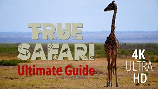 True Safari Kenya Land and Sea Ultimate Guide Series [upl. by Diskson]