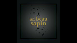 UN BEAU SAPIN DE NOËL 1er décembre  calendrier de lavent de ecinemacom [upl. by Mayes]