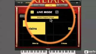 Trilian 101 Core Trilian  05 Live Mode Keyswitching [upl. by Sibelle151]