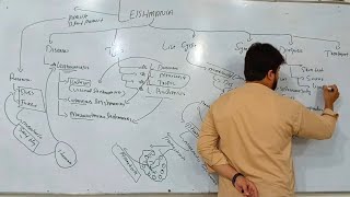 Leishmania  Types of Leishmania  Diagnosis and Treatment of Leishmaniasis [upl. by Atekehs407]