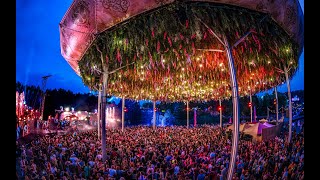 Camelphat  Tomorrowland Belgium 2019  W2 [upl. by Annoyek]