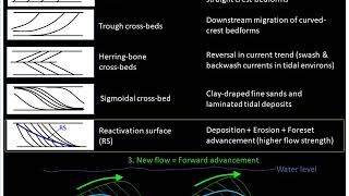 Bedforms and Cross beds Part 2 [upl. by Limaj]