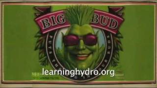 Big Bud Advanced nutrients to maximize hydroponic blooms [upl. by Babby]