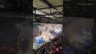 FC Magdeburg fans at Koln 🇩🇪 football germany bundesliga fans shorts [upl. by Odla]