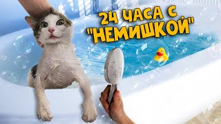 24 часа с котом «Немишкой» из прошлого выпуска  SANI vlog [upl. by Enniotna]