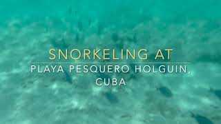 Playa Pesquero Snorkeling In Cuba Holguin [upl. by Harod]