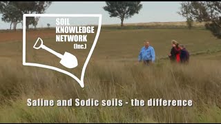 Saline and sodic soils  the difference [upl. by Nnylrats]