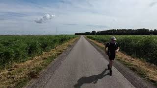 Cycling in the Province of Zeeland The Netherlands [upl. by Abie826]