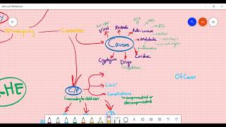 Hepatology revesion 2 liver cirrhosis Hepatic encephalopathyALFHCC and portal HTN ASM Minds [upl. by Edrea]