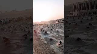 MADINA 🇸🇦 JANNATUL BAQI KABIRISTAN KI ZAYARAT COMMENTS JO ACHA LAGE Jannat alBaqī👆جَنَّة ٱلْبَقِيع🤲 [upl. by Grof787]