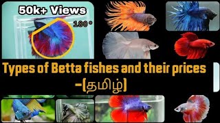 Betta fish types and its price in IndiatamilIam a hobbist [upl. by Elleinaj]