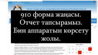 910 форма жаңасы Ауыл райондық жерде болса Бин аппаратын көрсету жолында көрсеттім [upl. by Zerdna738]