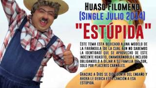 Huaso Filomeno  Estupida [upl. by Lesab]