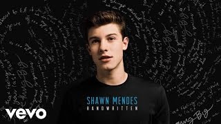 Shawn Mendes  Aftertaste Audio [upl. by Amahcen]