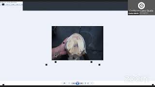 pART 1The Anatomically Correct Trim Hoof Research Course and Cooperative [upl. by Micheal163]