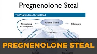 Optimizing Hormones Pregnenolone Steal DHEA amp Cortisol [upl. by Olympium]