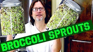 How To Grow Broccoli Sprouts At Home  SUPER EASY [upl. by Ananna]