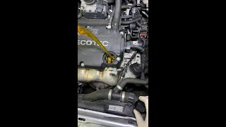 DIY OPEL ASTRA H OIL CHANGE Z14XEP 14 16V ÖLWECHSELN HOW TO CHANGE OIL WITH FILTER OPEL ASTRA H [upl. by Omsare]