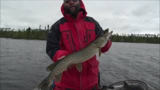 Leuenberger’s FlyIn Lodge and Wilderness Outposts  Fly Fishing on Kagianagami Lake Pt 2 [upl. by Cudlip]