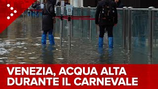 LIVE Venezia acqua alta durante la festa di Carnevale diretta video [upl. by Nohshan811]