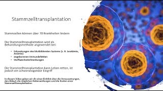 Stammzelltransplantation  Voraussetzungen Ablauf Nebenwirkungen und Kosten [upl. by Neill220]