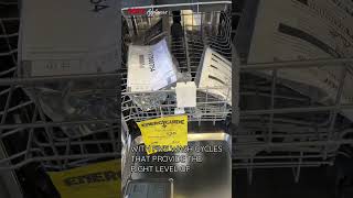 Frigidaire 24 BuiltIn Dishwasher with EvenDry™ System  FDSH4501AS By SMS Appliances [upl. by Leighland]