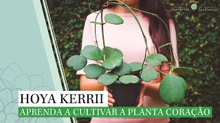 Hoya Kerrii  Aprenda a Cultivar a Planta Coração [upl. by Auj892]