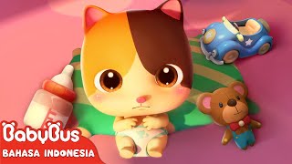 Bayi Kucing Super Lucu amp Imut 🍼 Lagu Anak amp Kartun Anak  Kebiasaan Baik  BabyBus Bahasa Indonesia [upl. by Aicenad]