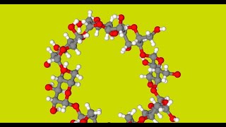 A Physicochemical Study to Evaluate the Subsistence of Inclusion Complexes of Cyclodextrins [upl. by Nimajaneb]