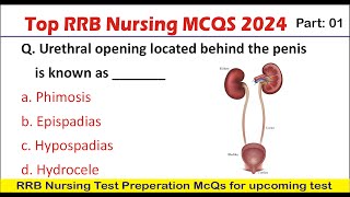 Part 01 RRB Nursing Staff nurse officer MCQ 2024  MHSRB staff nurse officer exam preparation [upl. by Eseneg]