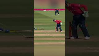 Best Runouts by Wicket Keepers 🔥  Cricket Flick cricket ipl runout [upl. by Almallah599]