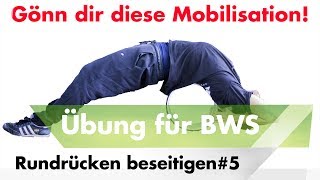 Die beste Übung um den Rundrücken zu beseitigen  Schulterschmerzen wegtrainieren [upl. by Enieledam648]