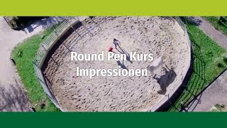 Bodenarbeit mit Pferden Beispiel eines Round Pen Kurses → Eschbachhof [upl. by Repooc593]