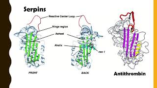 Antithrombin III [upl. by Anauqahs46]