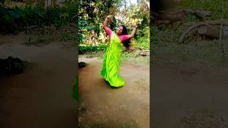 Girdhari lal nache samo gopaltrending shortsvideo song [upl. by Ayrotal]